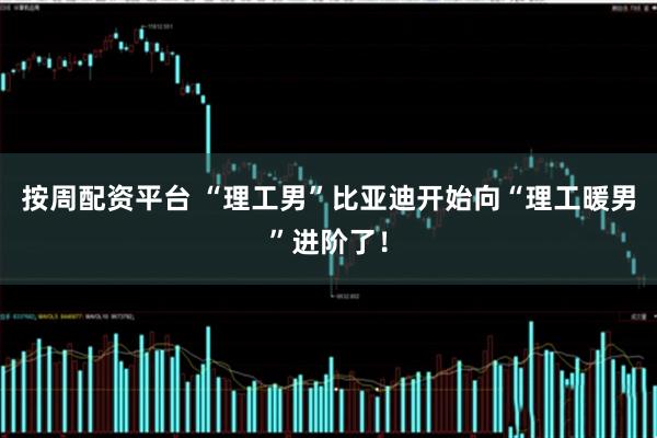 按周配资平台 “理工男”比亚迪开始向“理工暖男”进阶了！